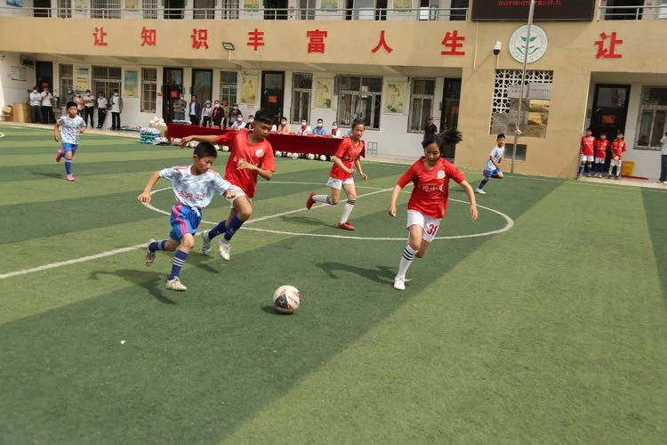 图片28.png 图片28.png